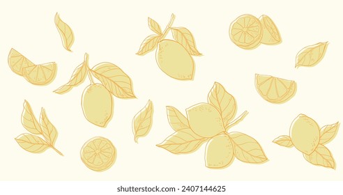 Vector illustration of lemons with leaves on a white background.