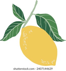 Vector illustration of lemons with leaves on a white background.