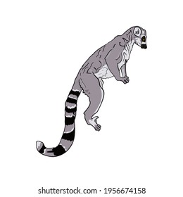 Vektorgrafik eines von einem Liner isolierten Lemurs. Lemur-Kata zum Drucken auf einem Drucker, leer für Designer