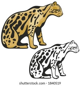 Vector illustration of a leopard.
