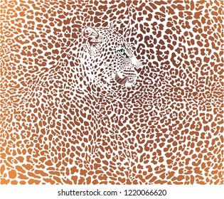 vector illustration leopard brown background