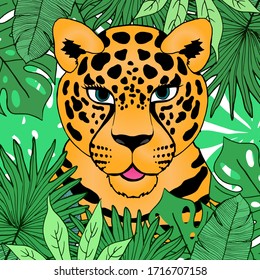 Vector illustration leopard in the bushes, wild cat hiding in the jungle