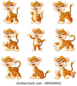 Vector illustration of  Leopard cartoon set collection 