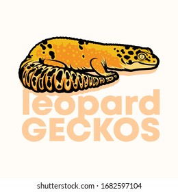 vector illustration leopard geckos reptile