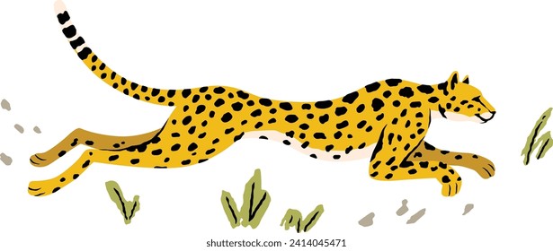 Vector illustration of a leopard running through a field with grass isolated on a white background