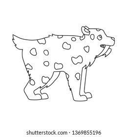 Vector illustration of leopard and tooth icon. Collection of leopard and animal stock symbol for web.