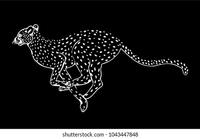 vector illustration of a leopard.Animal fashion trendy print logotype