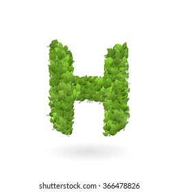 vector illustration of letter h of green leaves organic eco logo color colour shrub summer nature grass texture vines world isolated spring season foliage natural earth ecosystem leaf fresh mark healt