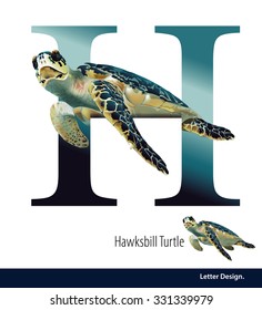 Vector illustration of Letter H is Hawks bill Turtle alphabet. English abc with animals Education on White background.