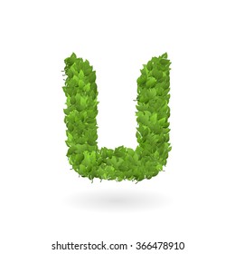 vector illustration of letter u of green leaves organic eco logo color colour shrub summer nature pasture texture vine world isolated spring season foliage natural earth ecosystem leaf fresh sign well