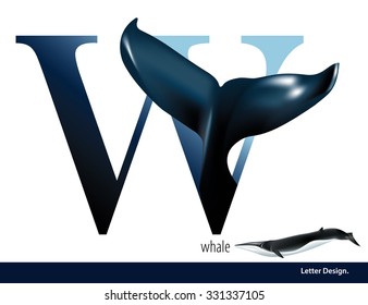 Vector illustration of Letter W is Whale alphabet. English abc with animals Education on White background.