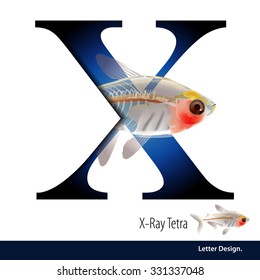 Vector Illustration Of Letter X Is X Ray Tetra Alphabet. English Abc With Animals Education On White Background.