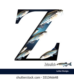 Vector illustration of Letter Z is Zebra fish alphabet. English abc with animals Education on White background.
