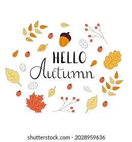 Vector illustration lettering Hello autumn with leaves, rowan, acorn. Back to school.