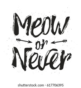 Vector illustration with lettering quote and arrows. Inspirational typography black and white poster with text - Meow or Never. Hipster style print design