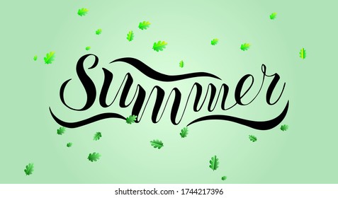 Vector illustration of a lettering summer. Poster, banner, card, invitation, clothes, bag, label, sticker. Ink calligraphy. Isolated elements of oak leaves on a green background. Fresh mood. Hand draw