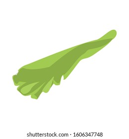 Vector illustration of lettuce and leaf icon. Graphic of lettuce and fresh Stock vector illustration.