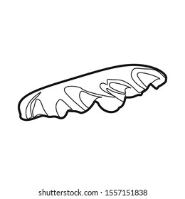 Vector illustration of lettuce and leaf symbol. Graphic of lettuce and green Stock symbol for web.