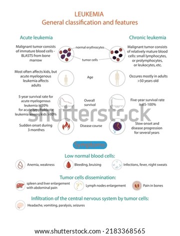 Vector illustration of leukemia disease classification and symptoms