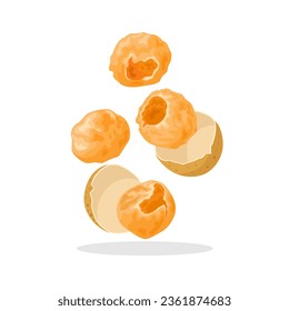 Vector illustration, levitation of dried longan, or Dimocarpus longan, isolated on white background.