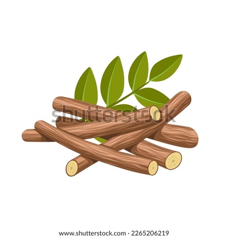 Vector illustration of licorice root, scientific name Glycyrrhiza glabra, with green leaves, isolated on white background. Imagine de stoc © 