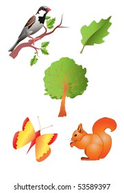 vector illustration, life in trees, card concept, white background