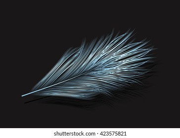 Vector illustration of the light blue feather.