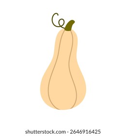 Vector illustration of a light butternut squash with stem, perfect for autumn design, food decoration and seasonal harvest themes