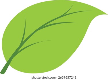 Vector illustration of a light green leaf, symbolizing freshness and nature, ideal for eco-friendly, botanical, and nature-related designs.

