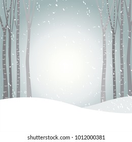 Vector illustration with light grey winter background. Snow field, growing birches and another trees. Poster, banner, wallpaper design template. You can place your text in the center of llustration.
