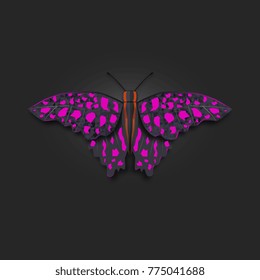 Vector illustration light purple butterfly on dark background.