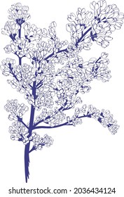 vector illustration of lilac branch, botanical sketch for postcards, posters, notebooks .