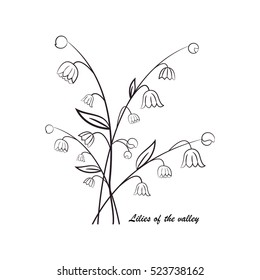 Vector illustration of lilies of the valley