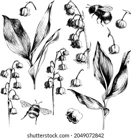 Vector illustration, lilies of the valley and bumblebees. Hand drawing, clipart.