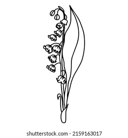 vector illustration a lilly of the valley , doodle style