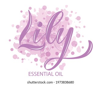 Vector illustration of Lily
Essential Oil text for logotype, packaging, banner, label, poster, decoration, postcard. Lily Essential Oil calligraphy background. EPS 10.