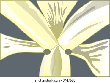Vector illustration of lily. Suitable for background.