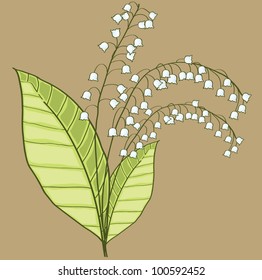 Vector illustration of lily of the valley