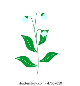 Vector illustration of lily of the valley