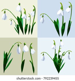 vector illustration of lily of the valley flowers isolated and bouquets sets