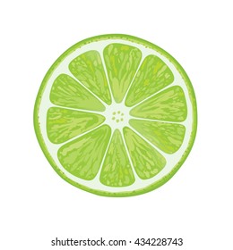 vector illustration of lime