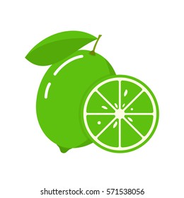 Vector illustration of lime