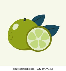Vector illustration of lime and half of lime on a beige background. Hand-drawn fruits in bright colors. Suitable for illustrating healthy eating, recipes, local farm. Card with limes