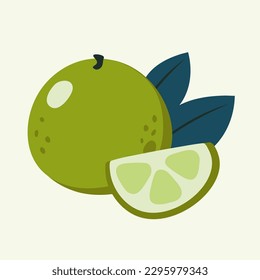 Vector illustration of lime and half of lime on a beige background. Hand-drawn fruits in bright colors. Suitable for illustrating healthy eating, recipes, local farm. Card with limes