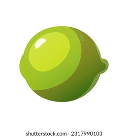 Vector illustration with lime. Healthy food. Cartoon style. Citrus
