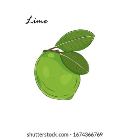  Ilustración vectorial. Limpieza aislada en blanco. Dibujado a mano. Para carta, menú, banner, afiche.