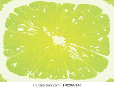 vector illustration of a lime slice