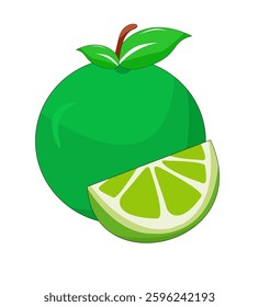 vector illustration of lime, lime slices, white background