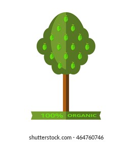 Vector illustration of lime tree with juicy limes isolated on white background. Flat style.