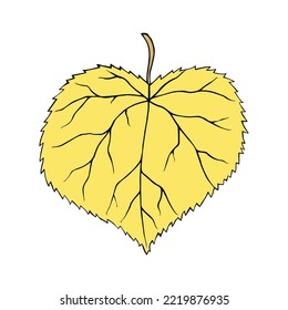 Vector illustration of linden leaf isolated on white background. Cartoon style